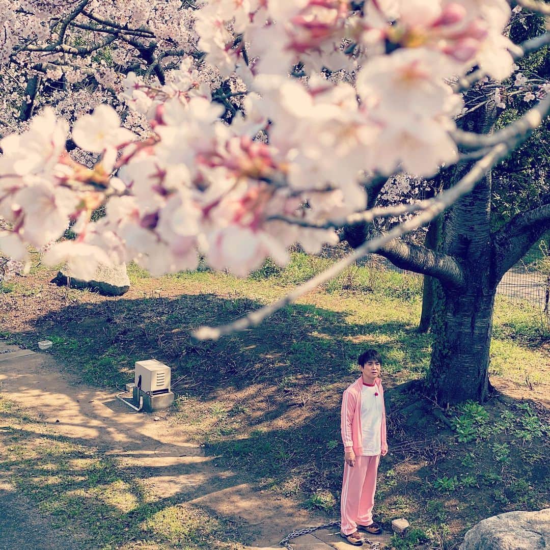 濱口優さんのインスタグラム写真 - (濱口優Instagram)「#なりきり #むーにゃん #Eテレ #桜と優」3月26日 11時43分 - hamaguchi_masaru
