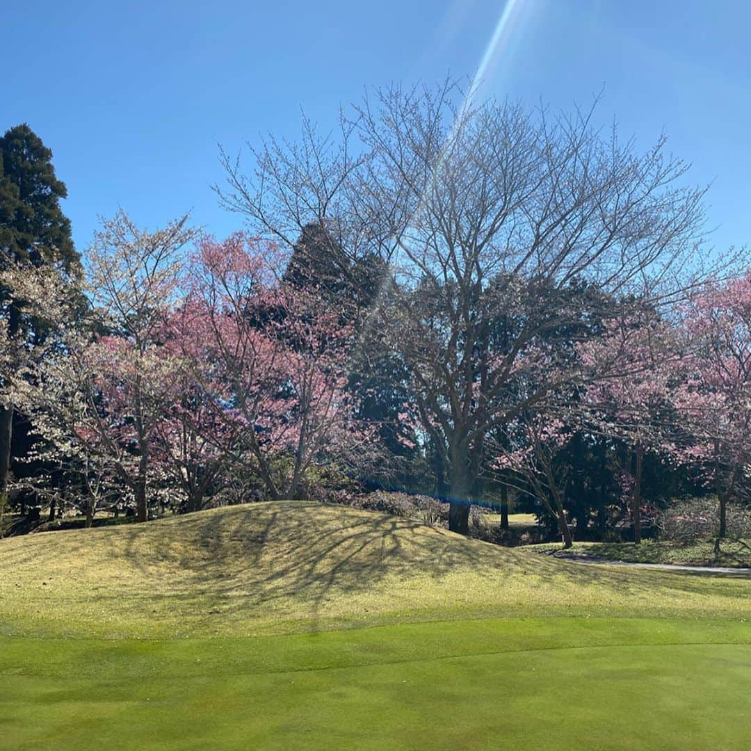 佐野真彩さんのインスタグラム写真 - (佐野真彩Instagram)「ゴルフ⛳️ スイングを修正しているのですが、前半は何が正しいスイングなのか忘れちゃってて迷走してました😰笑 . あすかちゃんが更に上手くなっていて羨ましかったです🥺✨ 5月に　#サノマヤカップ　（ @sanomayacup ）を開催する予定なので、引き続きコソ練は続けます。 . . さて、週末はお家で過ごすのでミクチャ配信します☺️時間などはまた⭐︎ . ☑︎今発売中の　#LEON にインタビューが掲載されています。 チェックしてみてくださいね🏌️‍♀️ . . golf wear▷ @j.jane_japan #j_jane . . . . #カレドニアンゴルフクラブ #ゴルフ女子　#ゴルフ　#golf #スイング動画 #golfwear #ゴルフウェア　#冬ゴルフ　#焼き肉　#虎の穴　#ハラミ好き  #佐野真彩　#長身女子　#171センチ　#ポニーテール　#外出自粛　#コロナ　#ミクチャ　#サノマヤゴルフ」3月26日 12時04分 - sano.maya