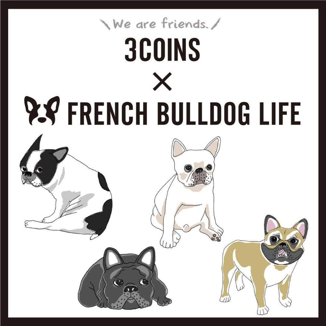 3COINSさんのインスタグラム写真 - (3COINSInstagram)「🐾 3COINS×FRENCH BULLDOG LIFE 🐾  2019年5月に開催された、FRENCH BULLDOG LIFEとのコラボ企画がついに完成！ Instagramでの投稿キャンペーンで受賞した4頭のフレンチブルドッグをモデルに、フレブル好きが満足するフレブルグッズを作っちゃいました！  2020年3月31日(火)！ 全国の3COINS（3COINS+plus、3COINS OOOPS!、3COINS station、ASOKO+3COINS、colleを含む）で販売開始！  グッズのイラストを担当したのは、人気イラストレーターの金川カモメさん。 昨年2月にはネコ柄アイテムのイラストも担当していただきました♪  HPでラインナップご紹介しておりますので、是非ご覧ください！  #3COINS #スリーコインズ #スリコ #プチプラ #プチプラ部 #新商品 #新商品情報 #フレブル ##frenchbulldoglife #フレブルライフ #frenchbulldog #犬 #犬のいる暮らし #BULLDOG #ブルドッグ #🐶 #🐾 #金川カモメ #金川カモメさん #金川カモメさんデザイン」3月26日 12時20分 - 3coins_official