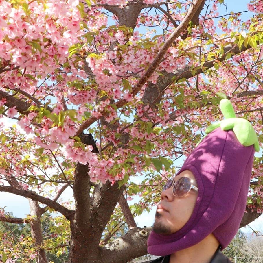 川原克己 さんのインスタグラム写真 - (川原克己 Instagram)「『ヒラガナをかたかなで書く』 『抜け出せな　』い  #花見 #桜なすび」3月26日 13時11分 - tenjikunezumikawahara