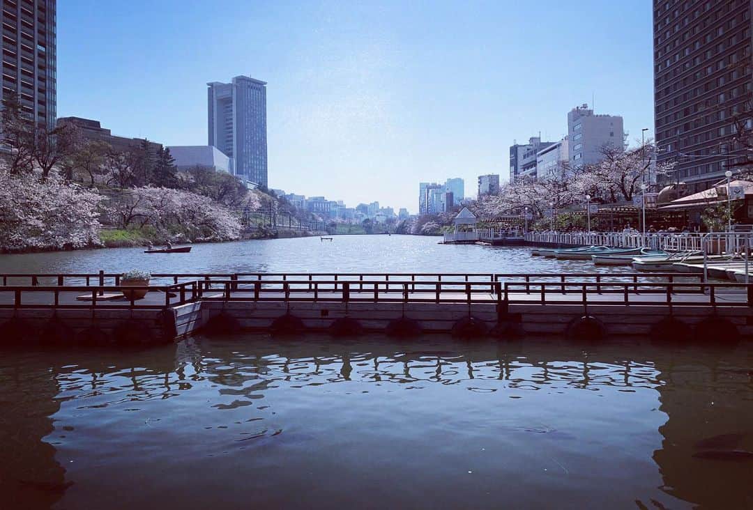 名波はるかのグルメインスタ