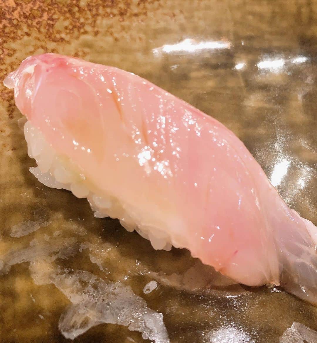 阿部洋子さんのインスタグラム写真 - (阿部洋子Instagram)「=͟͟͞͞🍣 この間の。 お寿司尽くし1軒目。 #美味しゅうございました  #お寿司  #sushi  写真の後半、酔ってブレまくり😱」3月26日 23時33分 - hirocoring
