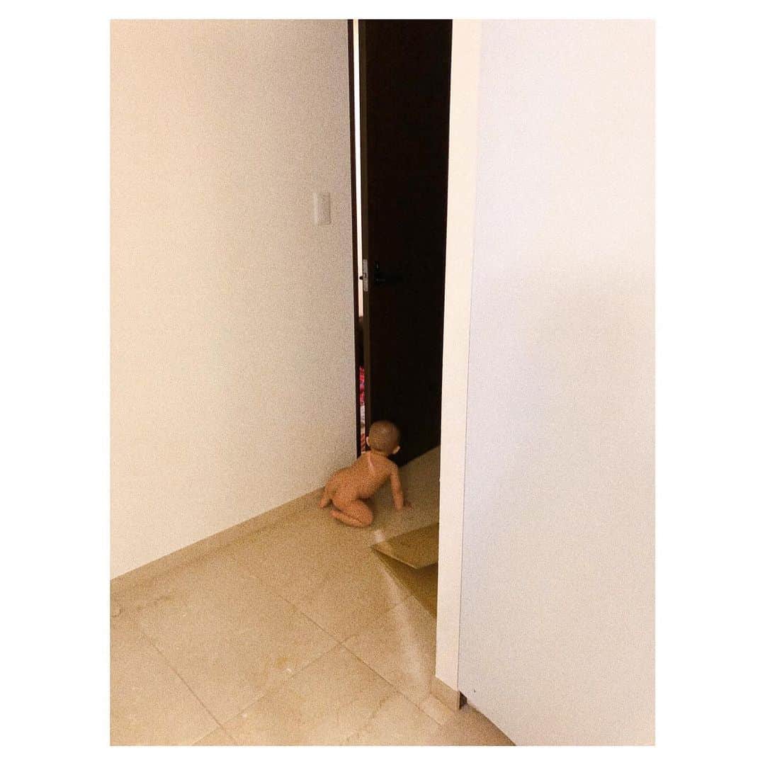 前原穂高のインスタグラム：「なんだか久々のおうちゃんをアップしたらすごい勢いでいいねがつくから😍 ㅤㅤㅤ こちらもどうぞ🙌 ㅤㅤㅤ #食事中の方お尻すいません #前原家」