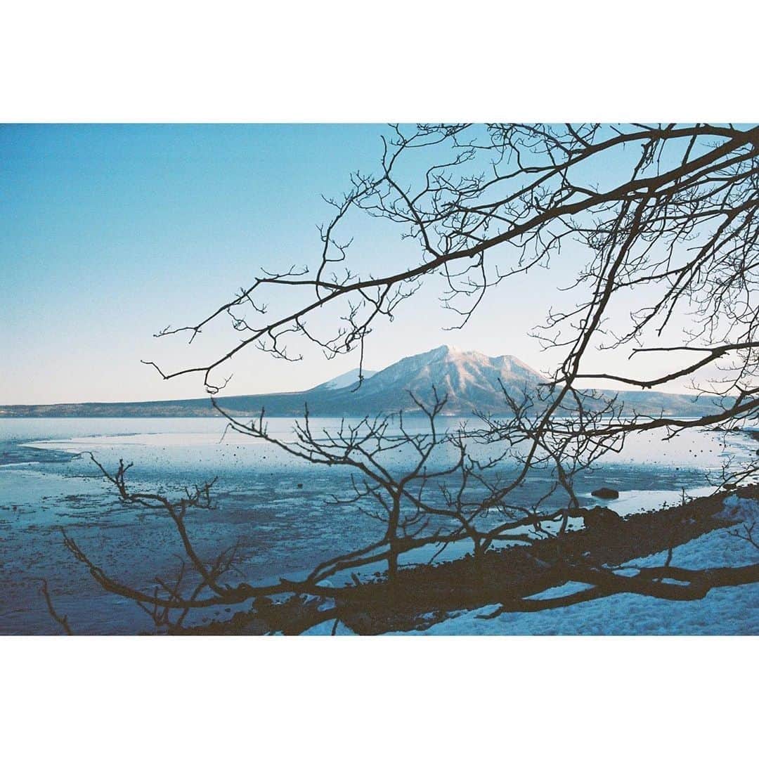 ライカのインスタグラム