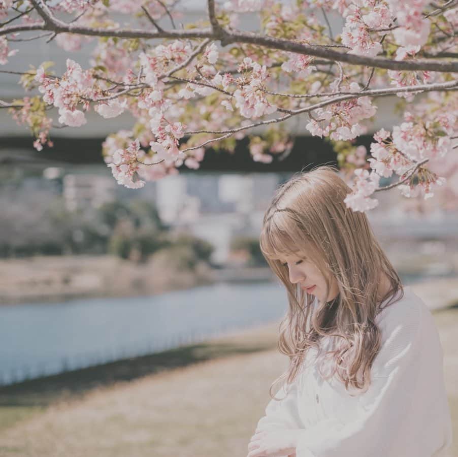 横山なつみさんのインスタグラム写真 - (横山なつみInstagram)「25歳はじまります。 #instagood #instalike #桜 #春」3月27日 0時12分 - ___natsumi327