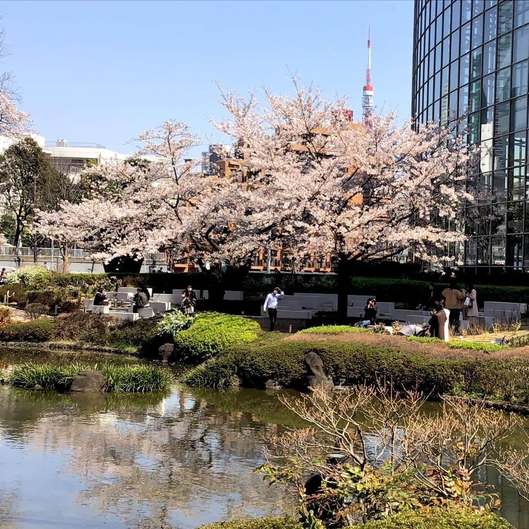 宮崎文子のインスタグラム：「🍀life🍀  Day and Night  昨日、仕事の合間に撮影しました。 お花見のための散策も自粛になり、 明日の夜からは関東で雪❄も想定されています。 落ち着いて、今自分がすべきこと、必要なことを見極めて力を合わせて日々をすごしたいなと思います。  #cherryblossom #さくら」