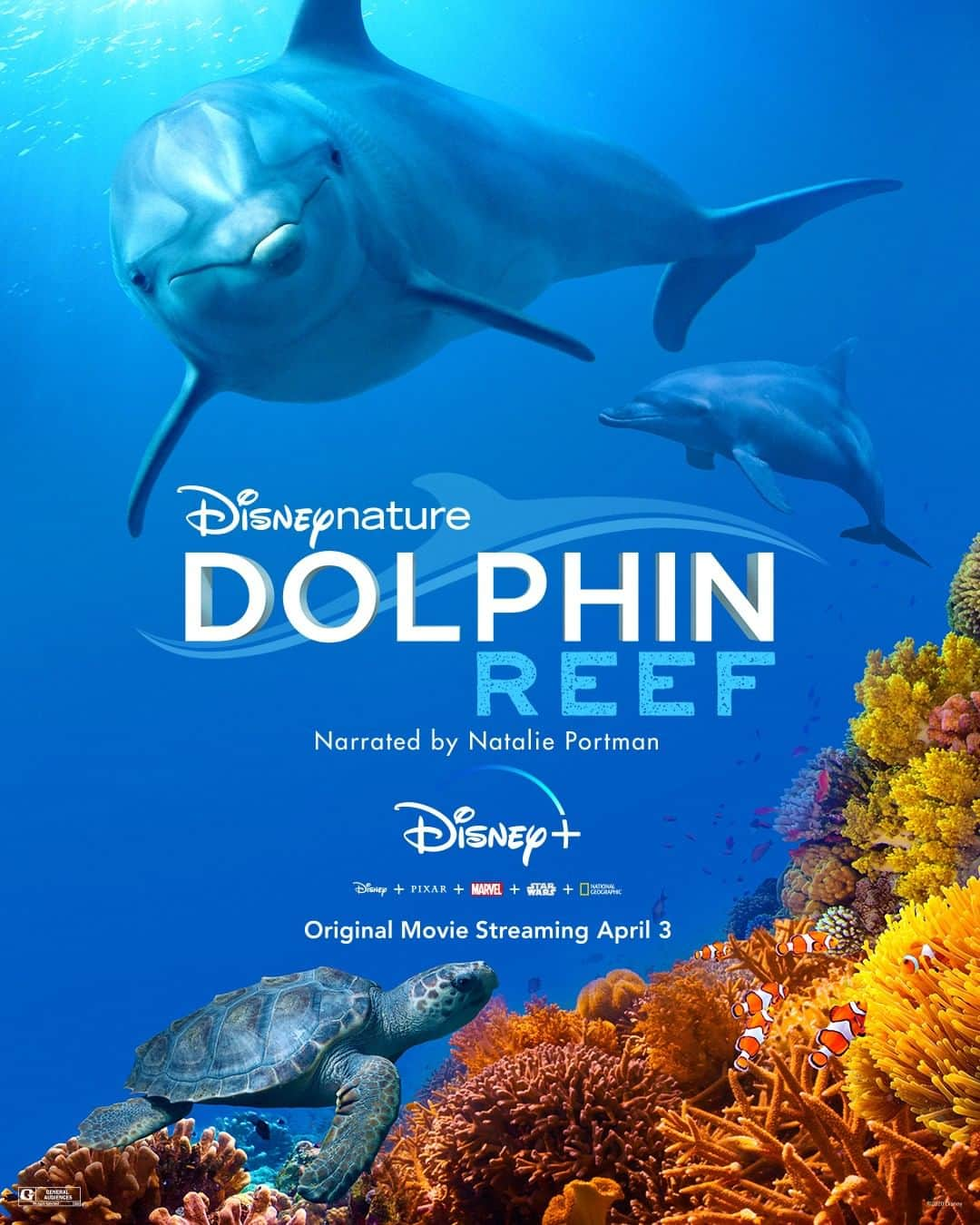 Disneyさんのインスタグラム写真 - (DisneyInstagram)「Disneynature’s Dolphin Reef, an Original Movie narrated by Natalie Portman, starts streaming April 3, only on #DisneyPlus.」3月27日 0時49分 - disney