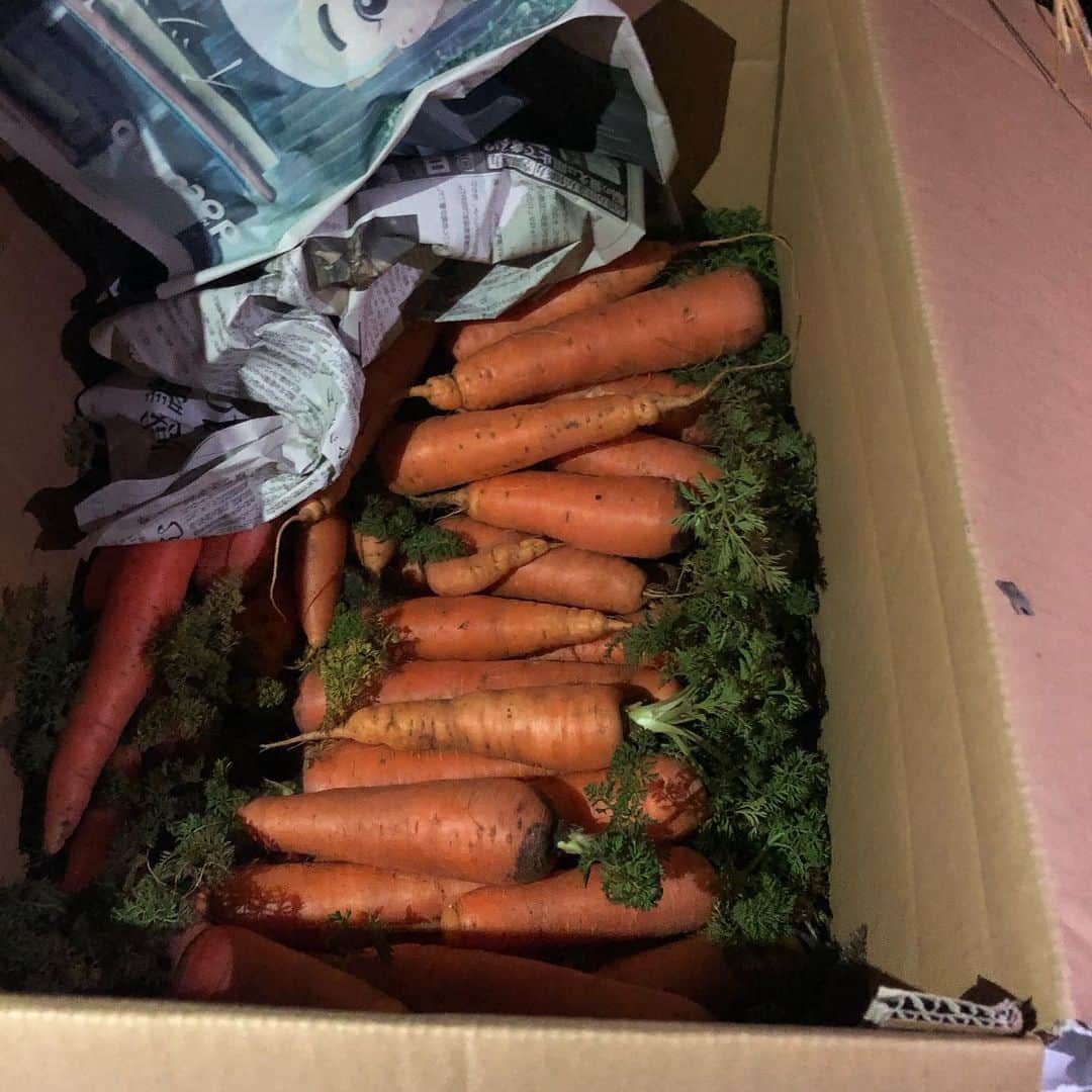 YUKI TAKESHIMAさんのインスタグラム写真 - (YUKI TAKESHIMAInstagram)「里山十帖 @satoyamajujo  の支配人武田さん と北崎シェフ @yutakakit に宿周辺で獲れるセリ、ツクシ、蕗の薹、春の野草、山菜採りのガイドをして頂きました🌿  雪深い新潟は、雪室☃️の天然の冷蔵庫で食品を保存するそうで、 野菜は糖度が増し 肉は、良質な熟成肉に… プチ冬眠する為、劣化防止と酸化防止になるそうです。 雪国古来の知恵ですねー 米や古来伝承の発酵、保存技術を活かし生命力の強い食材を作る。 そんな自然と共存する暮らしを体験しました。  お散歩1時間があっという間で、お食事前のアペリティフって事で頂いたカブの甘酸っぱいピクルスと地元のナチュールの白ワインが 食欲をそそります。  #里山十帖 #雪室#熟成#発酵食品 #バンナチュール #保存食#山菜採り#雪国の暮らし」3月26日 16時20分 - yukimake