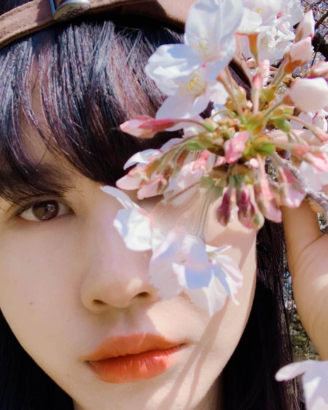 田中シェンさんのインスタグラム写真 - (田中シェンInstagram)「🌸🌸🌸🌸 お花見は無理そうだから さっと通り抜けて 桜と戯れ、た😌✨ #sakura🌸」3月26日 16時41分 - shen_tanaka