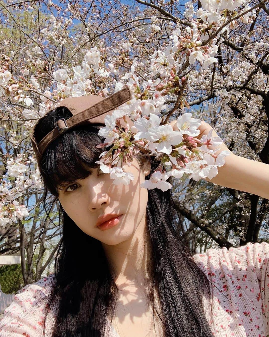のインスタグラム：「🌸🌸🌸🌸 お花見は無理そうだから さっと通り抜けて 桜と戯れ、た😌✨ #sakura🌸」