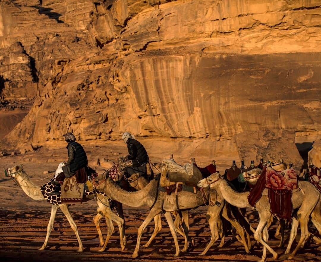 National Geographic Travelさんのインスタグラム写真 - (National Geographic TravelInstagram)「Photo by Muhammed Muheisen @mmuheisen | Bedouin lead their camels along the desert of Wadi Rum, also known as the Valley of the Moon, cut into the sandstone and granite rock of southern Jordan.  For more photos and videos from different parts of the world, follow me @mmuheisen and @mmuheisenpublic. #muhammedmuheisen #Jordan #الاردن #wadirum #desert」3月26日 17時08分 - natgeotravel