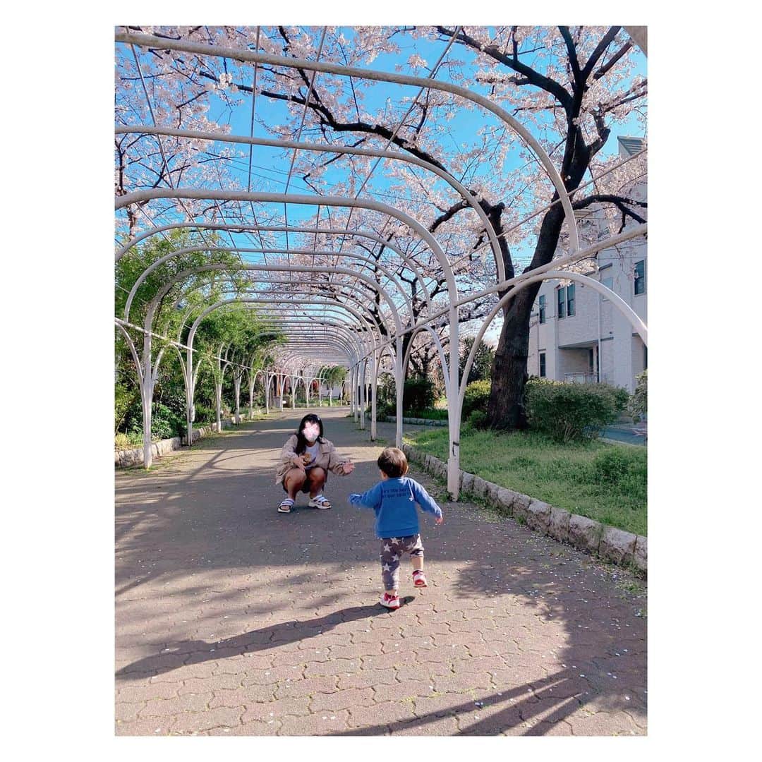 辻希美さんのインスタグラム写真 - (辻希美Instagram)「買い物帰りに桜並木を歩いて帰りました👶🌸🌸🌸💕" #桜並木 #🌸🌸🌸 #姉弟 #11歳差 #平和な2人 #週末から外出自粛 #日本の平和の為 #みんなで力を合わせて日本を平和に戻そう #🇯🇵」3月26日 17時46分 - tsujinozomi_official
