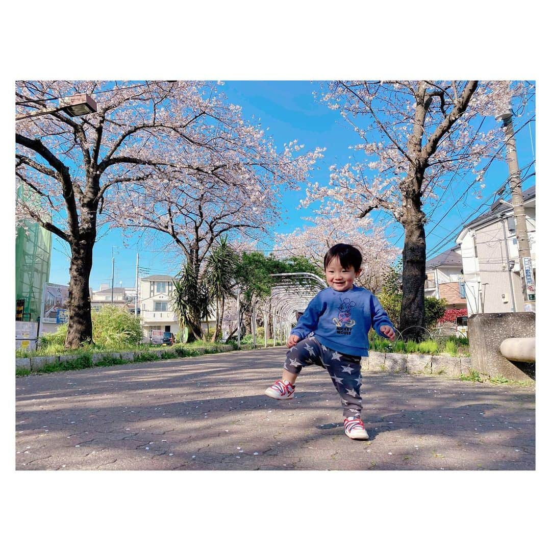 辻希美さんのインスタグラム写真 - (辻希美Instagram)「買い物帰りに桜並木を歩いて帰りました👶🌸🌸🌸💕" #桜並木 #🌸🌸🌸 #姉弟 #11歳差 #平和な2人 #週末から外出自粛 #日本の平和の為 #みんなで力を合わせて日本を平和に戻そう #🇯🇵」3月26日 17時46分 - tsujinozomi_official