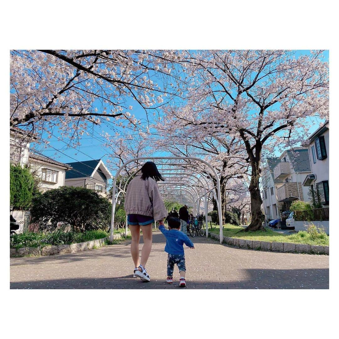 辻希美さんのインスタグラム写真 - (辻希美Instagram)「買い物帰りに桜並木を歩いて帰りました👶🌸🌸🌸💕" #桜並木 #🌸🌸🌸 #姉弟 #11歳差 #平和な2人 #週末から外出自粛 #日本の平和の為 #みんなで力を合わせて日本を平和に戻そう #🇯🇵」3月26日 17時46分 - tsujinozomi_official