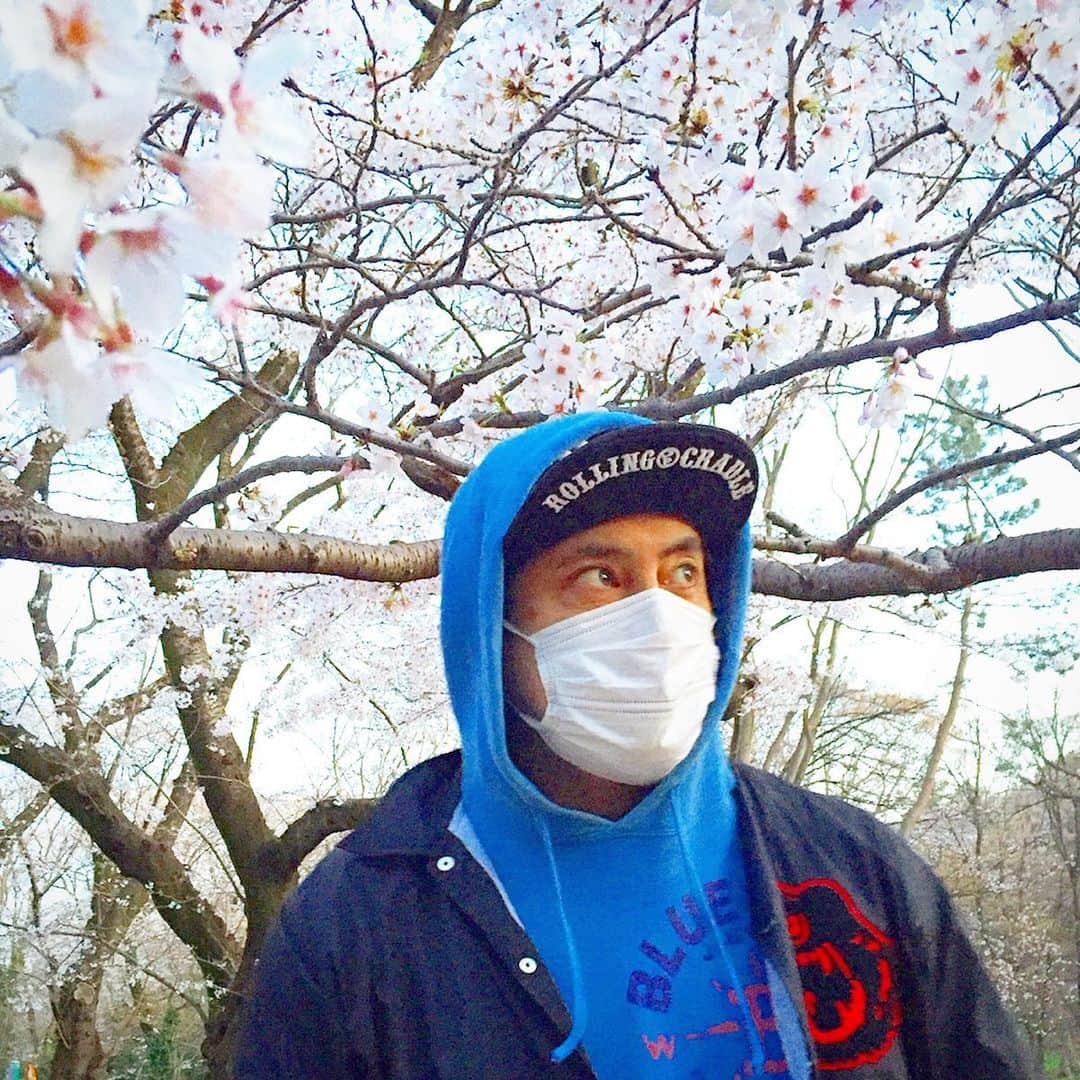 成松修さんのインスタグラム写真 - (成松修Instagram)「外出自粛が早くとけますように。  週末予定していた Wildの会も Wildの会お花見も 昨日発表された外出自粛要請を受けて中止にしました。  皆さまのご健康をお祈りいたします。  #桜 #花見 #🌸 #日本の春」3月26日 17時42分 - ore_osamu