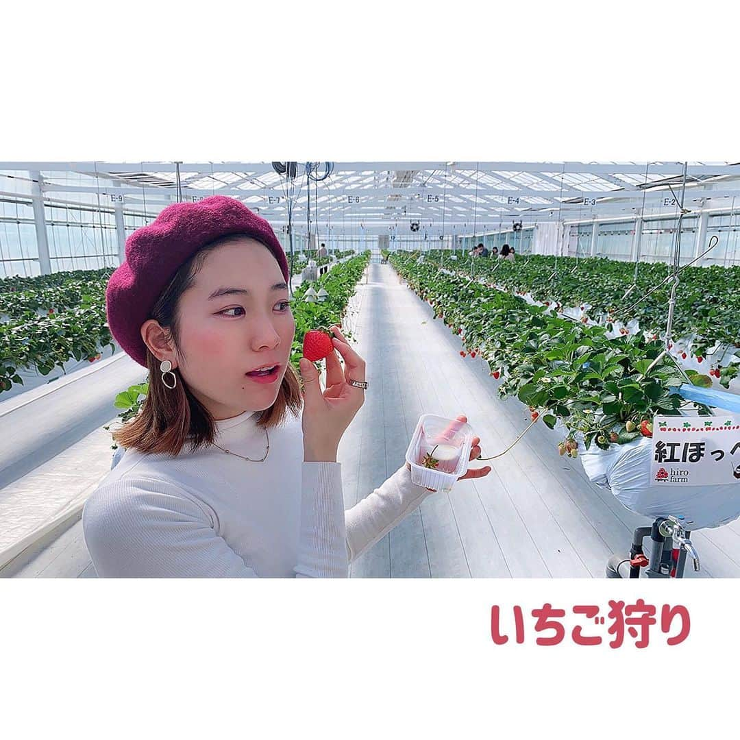 由利華さんのインスタグラム写真 - (由利華Instagram)「【#いちご狩り 】﻿ ﻿ ﻿ 紅ほっぺが好きということに気づいた🍓 ﻿ ﻿ #由利華」3月26日 17時47分 - yurippe0804