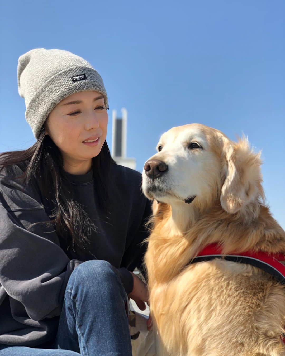 高橋ひとみのインスタグラム
