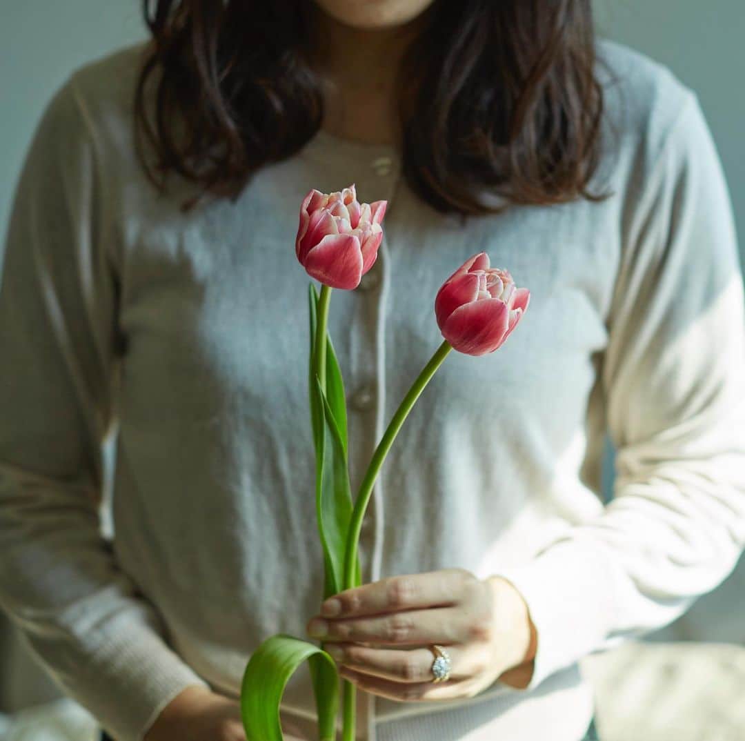 BRILLIANCE+（ブリリアンス+）さんのインスタグラム写真 - (BRILLIANCE+（ブリリアンス+）Instagram)「. たまたま通りかかったお花屋さんにチューリップが売っていました。 ピンク色のチューリップの花言葉は「誠実な愛」だそうです。 . 誠実で素直な気持ちをいつまでも忘れないよう、リビングに飾りました。 . #暮らしとジュエリー #結婚生活 #ブリリアンスプラス」3月26日 18時17分 - brilliance_plus