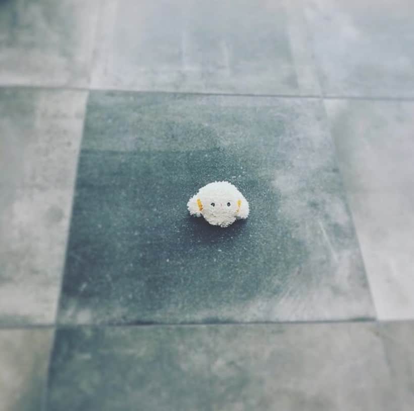 のインスタグラム：「. みゅん‥ #サンリオ #キャラクター #小麦粉の妖精 #こぎみゅん #sanrio #character #cogimyun」