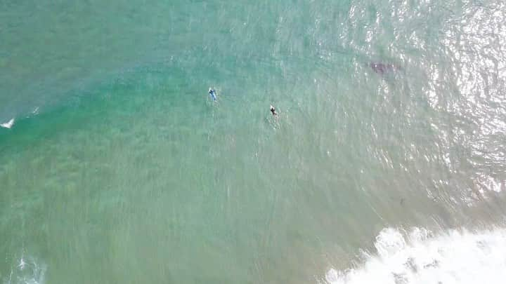 MEGUMIのインスタグラム：「サーフィン空撮動画🏄‍♂️ @青森  #surf#surfmovie#beach#surftrip #dronephotography #dronepilot #droneschool#travel#photo#dsj#dji#followme #ドローン#ドローン撮影 #ドローン空撮 #ドローン操縦 #ドローン女子 #ドローンスクール #ドローン好きな人と繋がりたい#旅行が好きな人と繋がりたい #写真好きな人と繋がりたい #dsj東京中目黒校#スカイエステート」