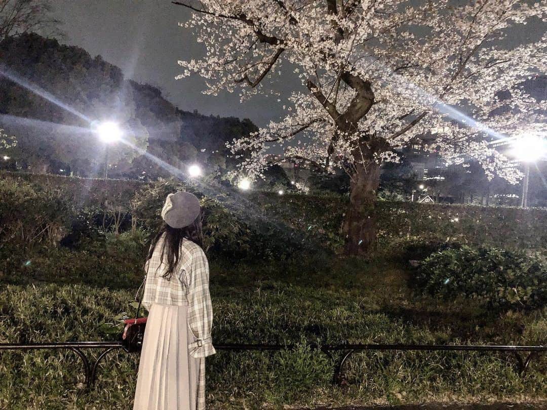 橘ひなたのインスタグラム：「#夜桜」