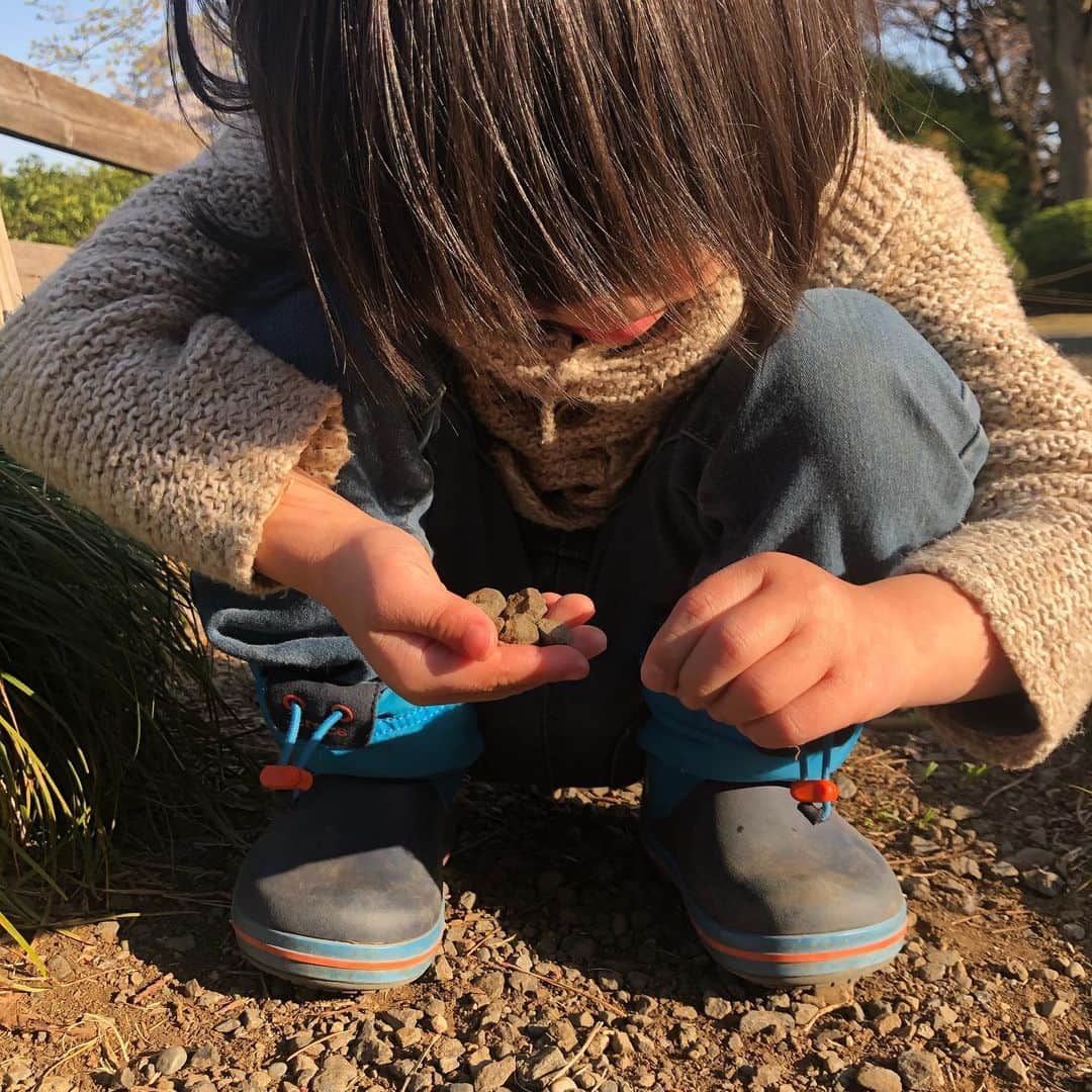 龍円愛梨さんのインスタグラム写真 - (龍円愛梨Instagram)「桜の新宿御苑へ。人が少ないところを選んで歩きました。代々木公園育ちのニコは、遊具のない公園での遊び方が上手です。私は小さい頃、いつも自然のなかで遊んでいたので、そこに価値があると思えてしまう^_^」3月26日 19時45分 - airi_ryuen