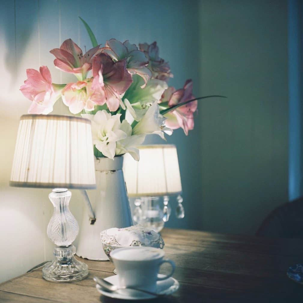 tetrrineのグルメインスタ