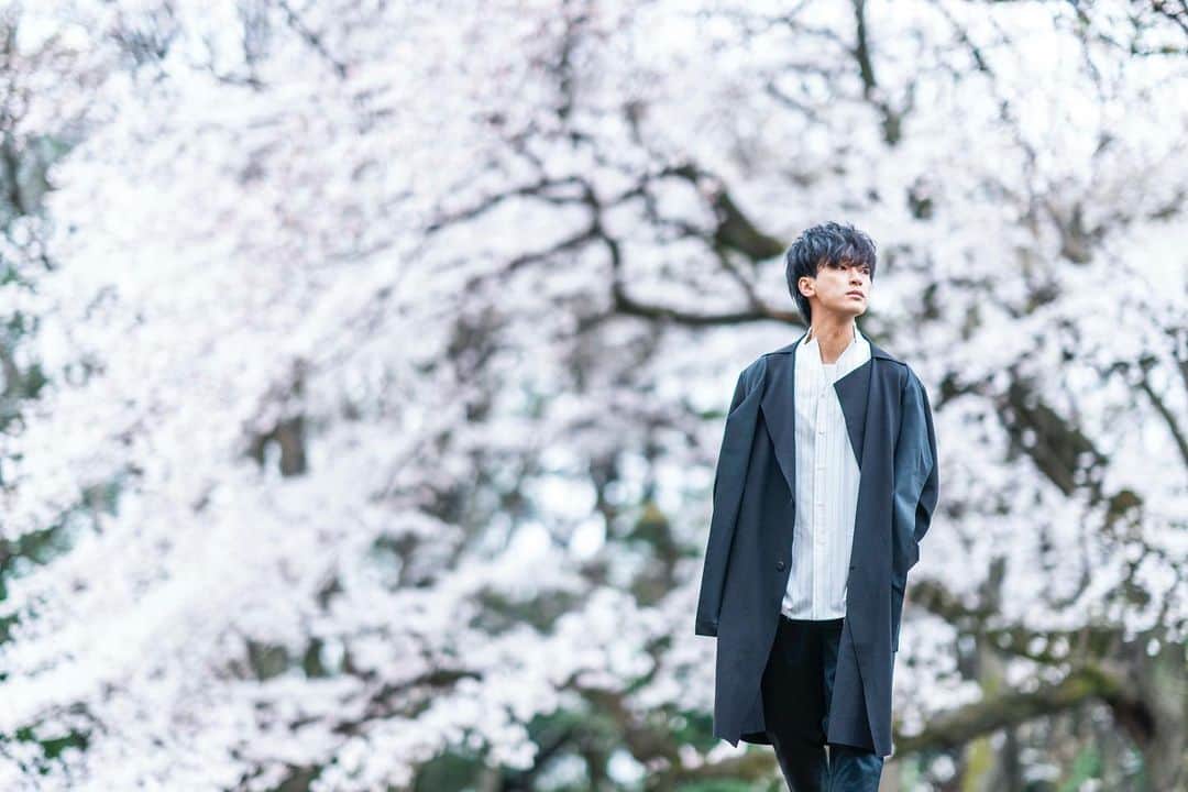 としみつのインスタグラム：「去年優也くんに「どうしても撮りたい！」って言ってもらえて撮りに行った桜の写真。  これは写真展には出なかったけれど良い写真。  今年は雨だしコロナだし、痔だし、見れないのかなーー」