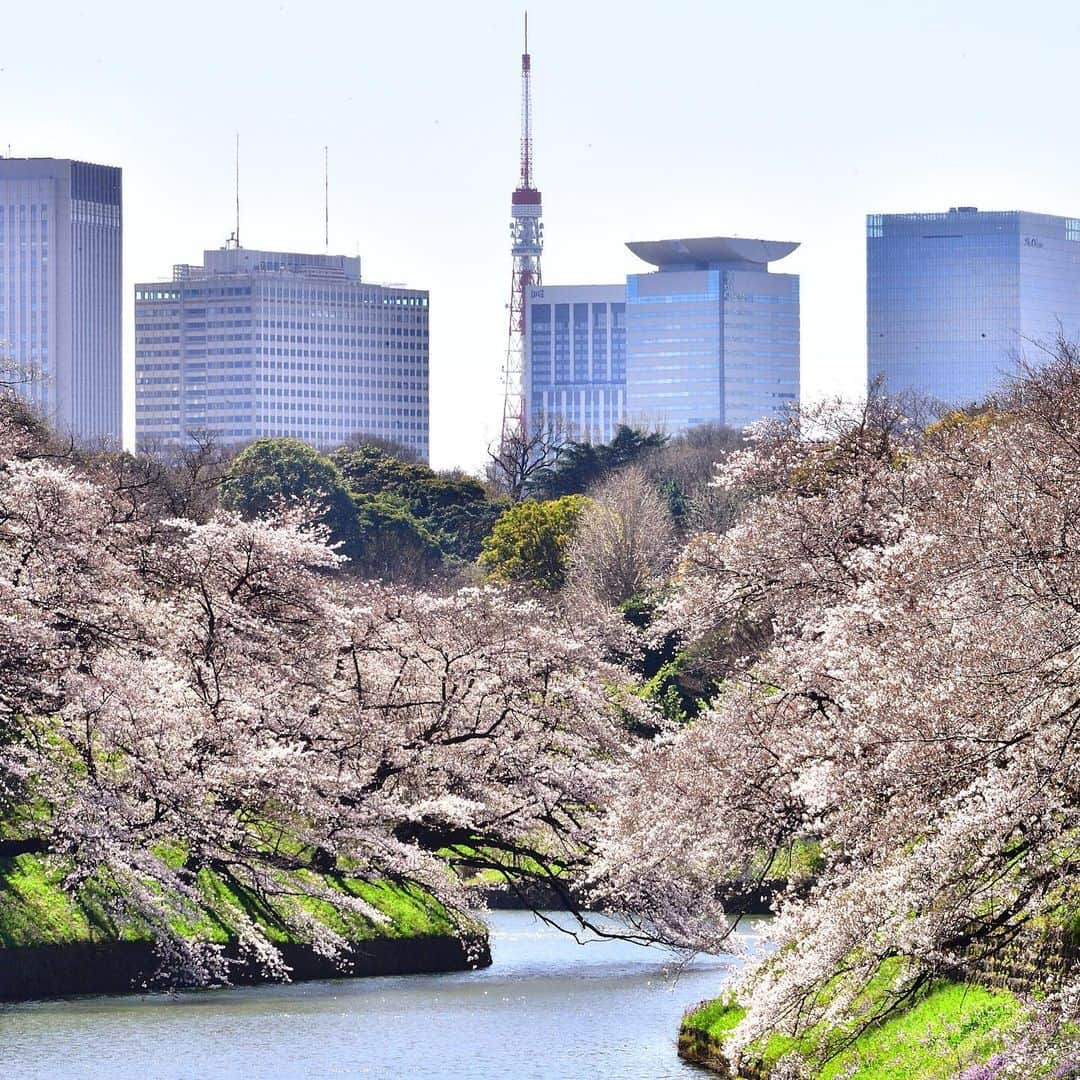 The Japan Timesのインスタグラム