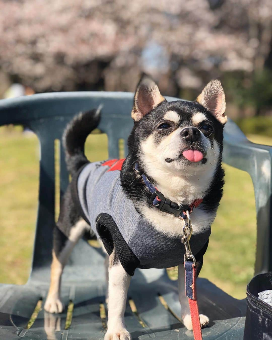 小山田早織のインスタグラム