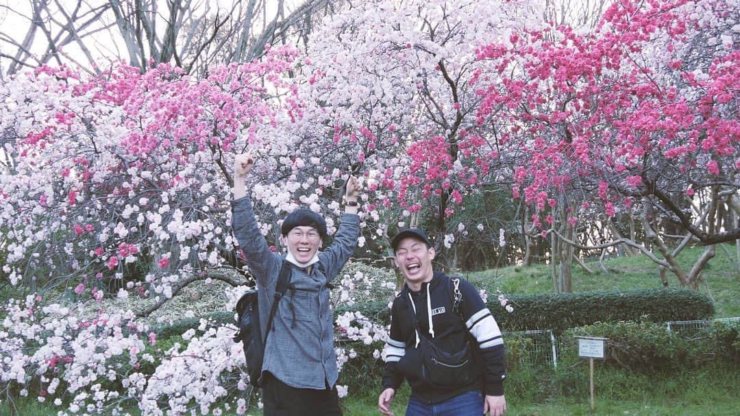 のインスタグラム：「THE🌸MOMMY  堀切さんが素敵なお写真パチリしてくださいました  #ザ・マミィ #お花 #ほのぼの #にこやか #ひだまり  #堀切さん」