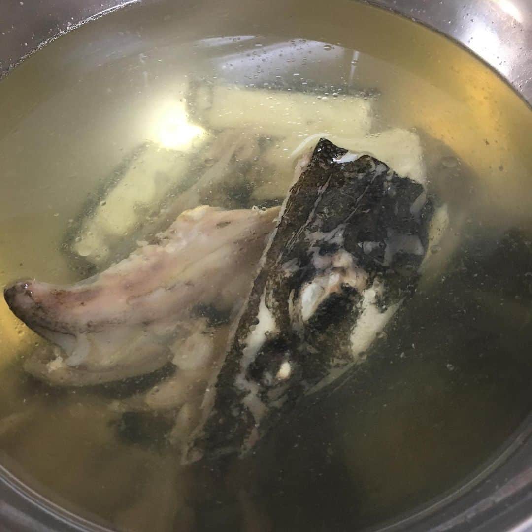 森薗政崇さんのインスタグラム写真 - (森薗政崇Instagram)「マゴチ！！ 骨が複雑な腹は煮付けに。 骨が少ない下腹は薄造り。 アラはアラ汁に。  夏のフグと言われるだけあって薄造りは最高でした！  #マゴチ」3月26日 20時21分 - masataka0405