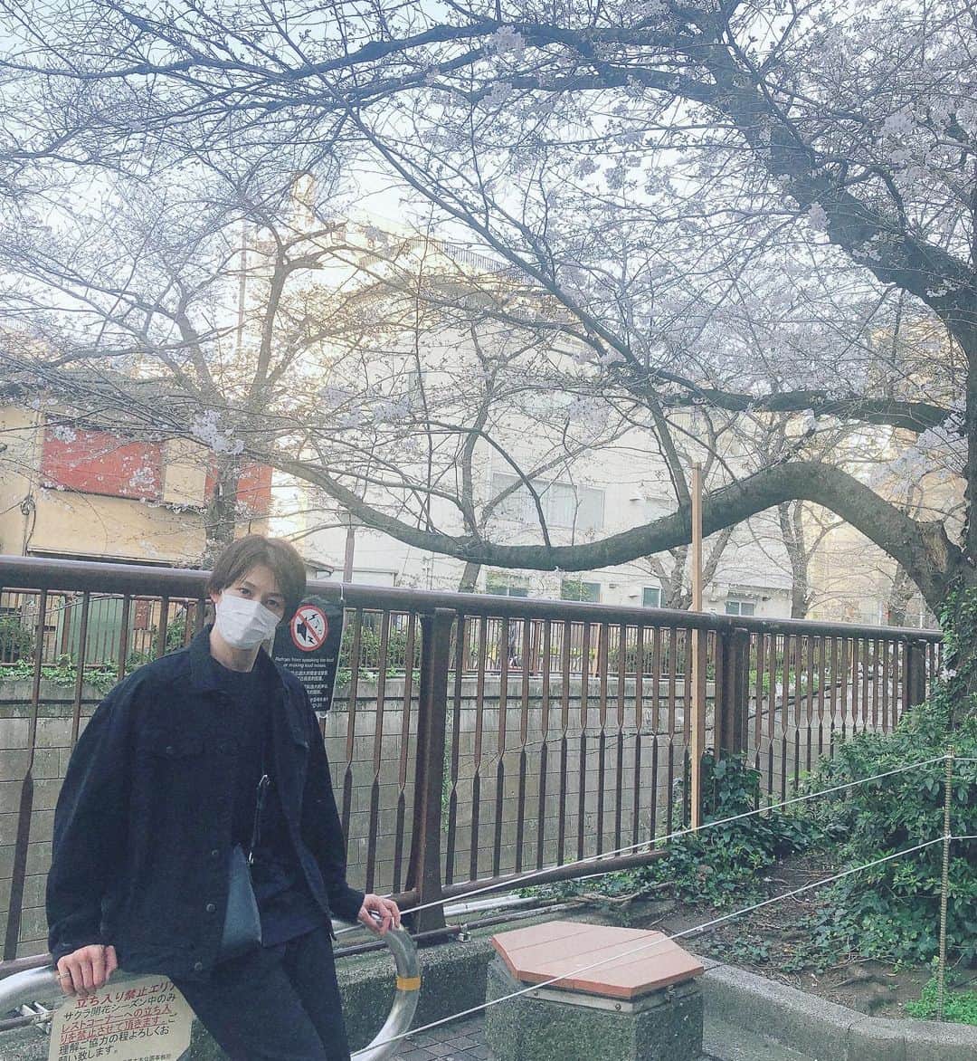 竹村仁志さんのインスタグラム写真 - (竹村仁志Instagram)「こないだの続き。 これが最後の外出だな。 もう仕事以外外出ません。」3月26日 21時16分 - hitoshitakemura