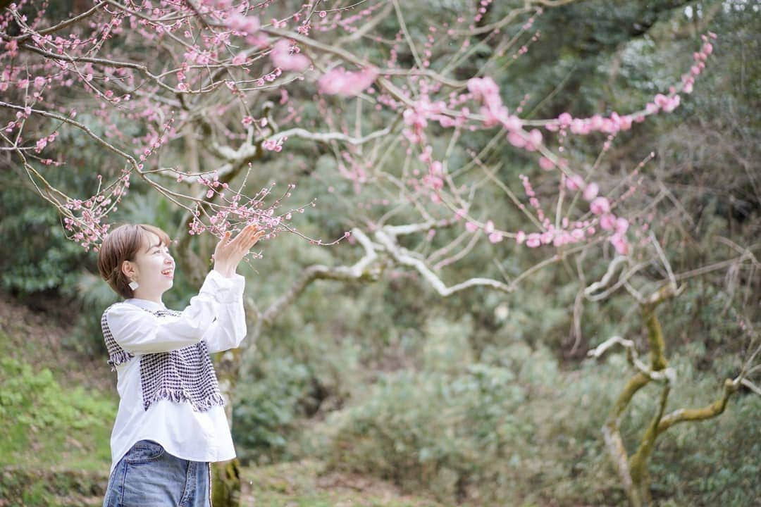 伊藤美羽のインスタグラム：「. 桜がどんどん咲いてきましたね🌸 . 春らしい写真をたくさん撮って頂きました😊 . . . . . . #桜 #桜🌸 #🌸 #春 #春コーデ #公園  #ショート #ショートヘア #ショートモデル #撮影」