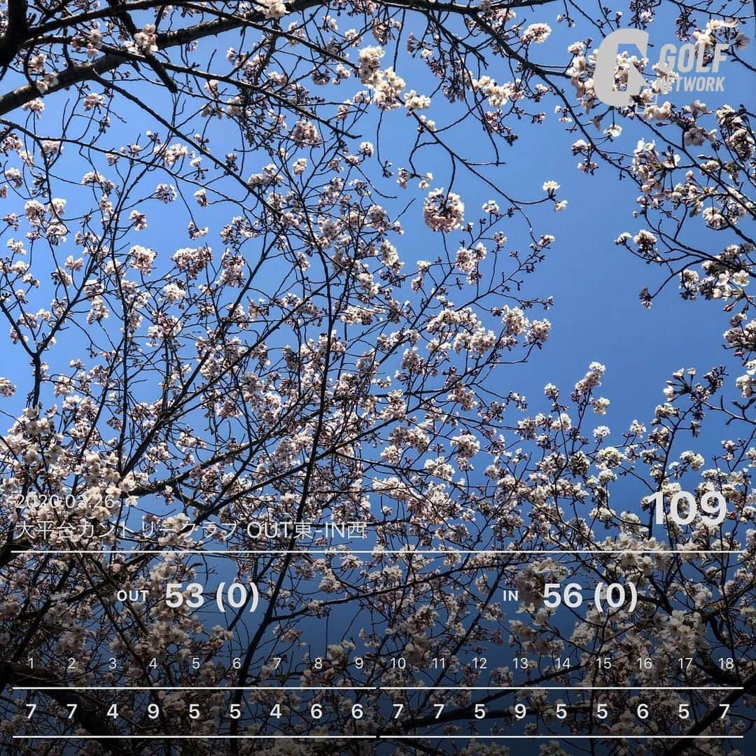 舞城モアサさんのインスタグラム写真 - (舞城モアサInstagram)「. . ベスコならず 上手くなりたい練習します。 .  #ゴルフ #ゴルフ女子 #golf #ウエア #ゴルフうまくなりたい #instagolf部 #instaゴルフ部 #インスタゴルフ部 #ゴルフコーデ #instagram #栃木県 #大平台カントリークラブ #ゴルフスコア #スポーツ女子 #ゴルフ動画 #桜 #gtバーディーズ #golftoday」3月26日 22時22分 - maishiro_moasa