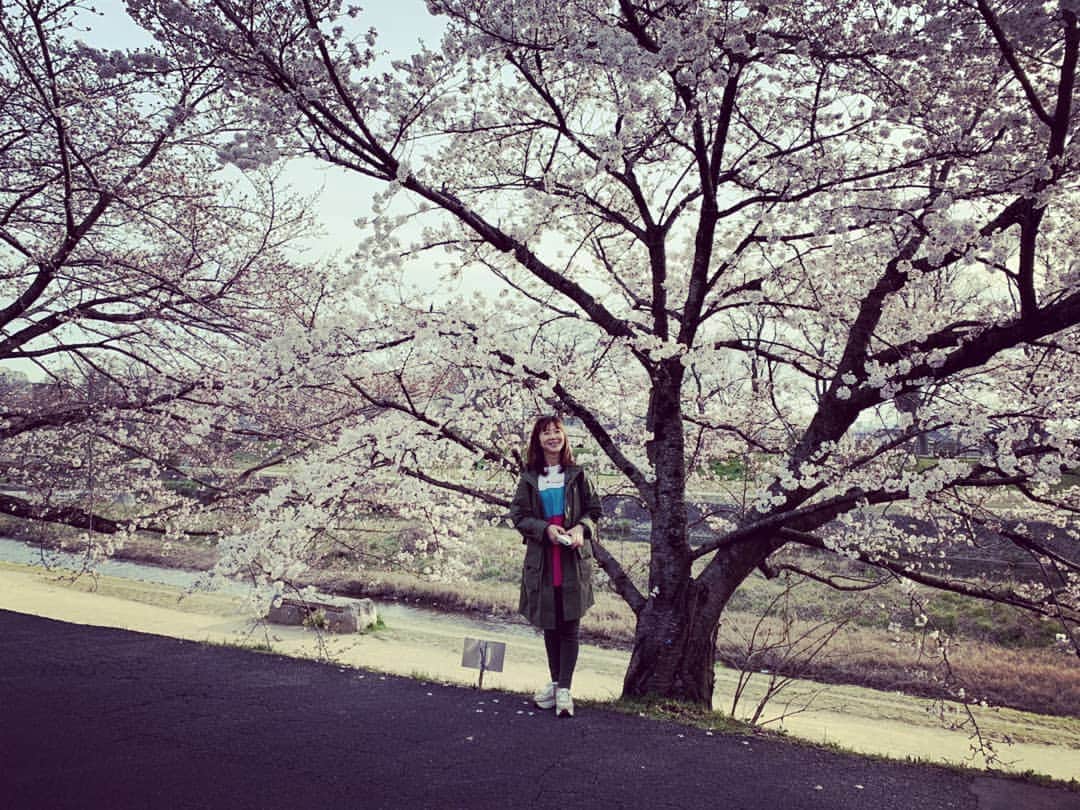 のインスタグラム：「2020これが私のお花見です🌸」