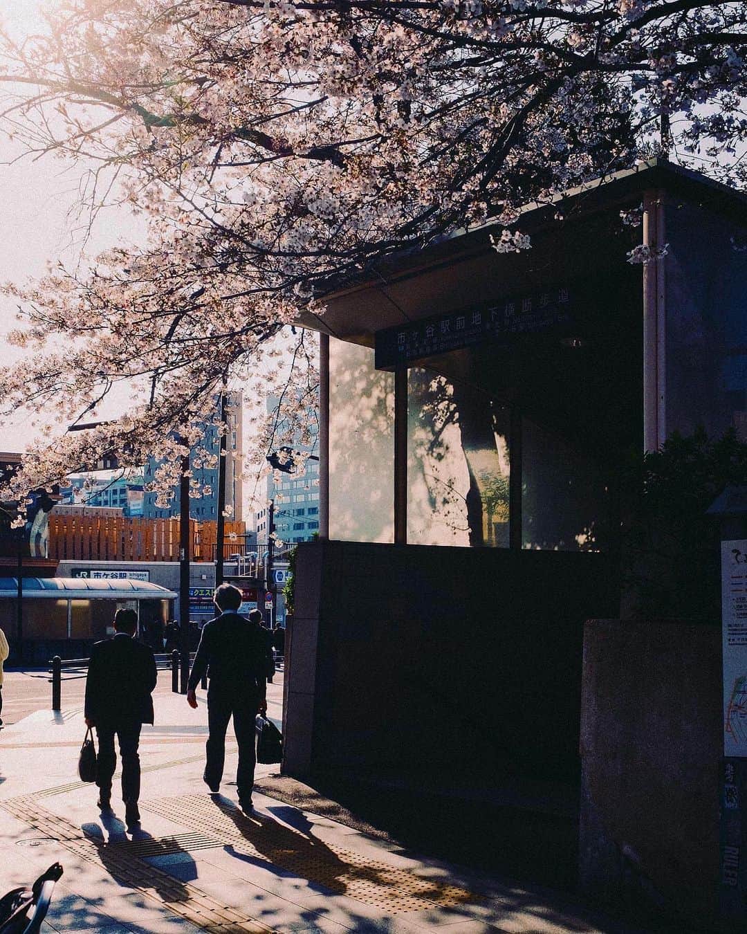 のインスタグラム：「it’s that time of the year」