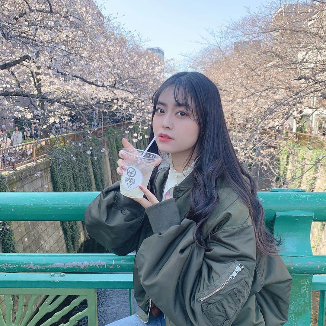 のインスタグラム：「せっかくだから桜をバックにぱしゃり . 来年はたくさんの人が笑顔で春を迎えられますように。🌸 . . . #桜  #春  #レモネード」