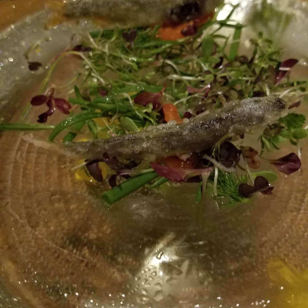黒田啓蔵さんのインスタグラム写真 - (黒田啓蔵Instagram)「撮影が、終わってベラビスタのエレテギアで夕食、素敵でしたぁ お腹いっぱい、感謝です。 #ベラビスタ #ベラビスタ尾道 #エレテギア  #繊細 #洋食 #美食」3月26日 23時12分 - kurodakeizo