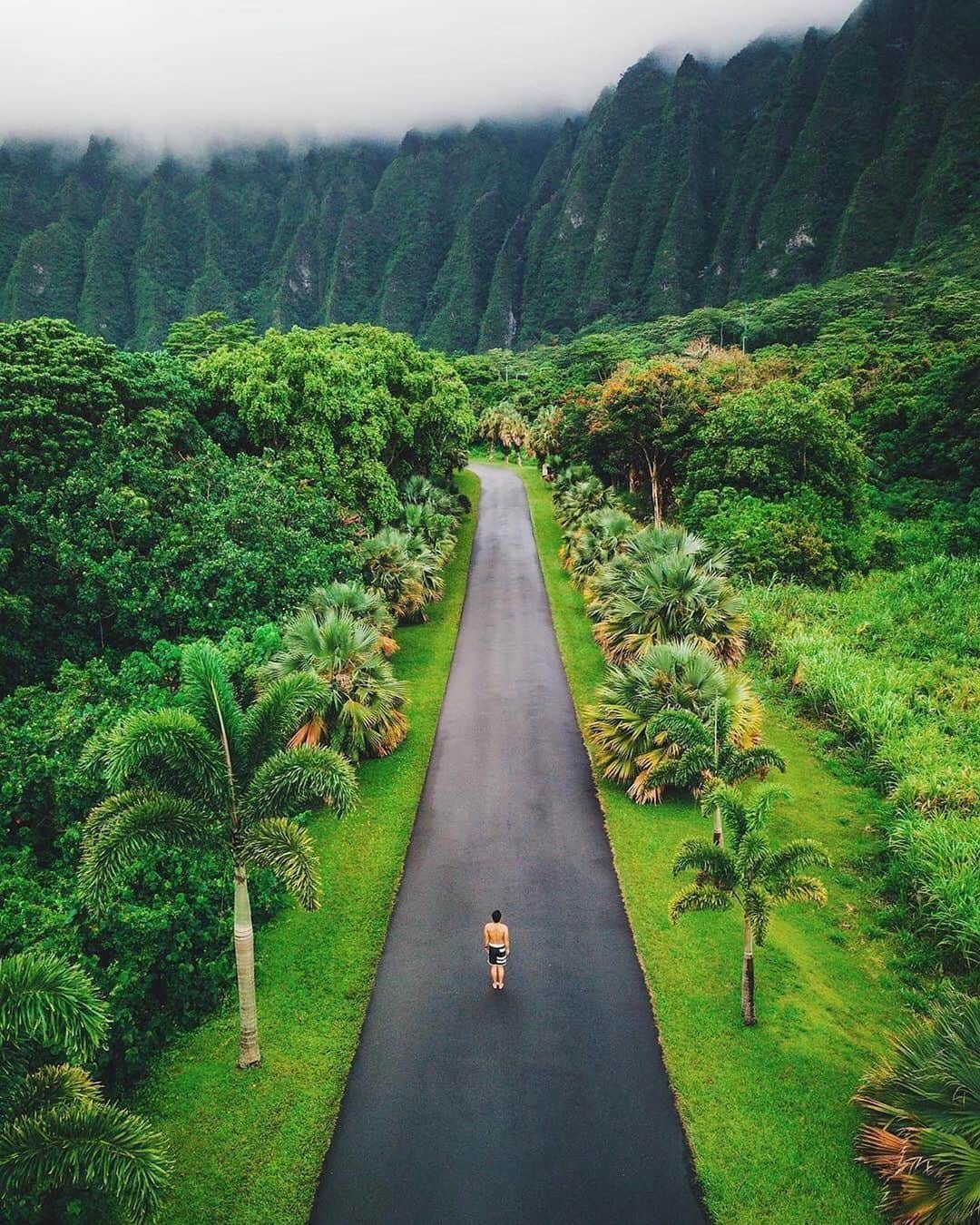 bestvacationsさんのインスタグラム写真 - (bestvacationsInstagram)「Welcome to Hawaii 🌺 Who would you explore the islands with? By @spencerlee808 @ky.kwak #BestVacations」3月26日 23時14分 - bestvacations