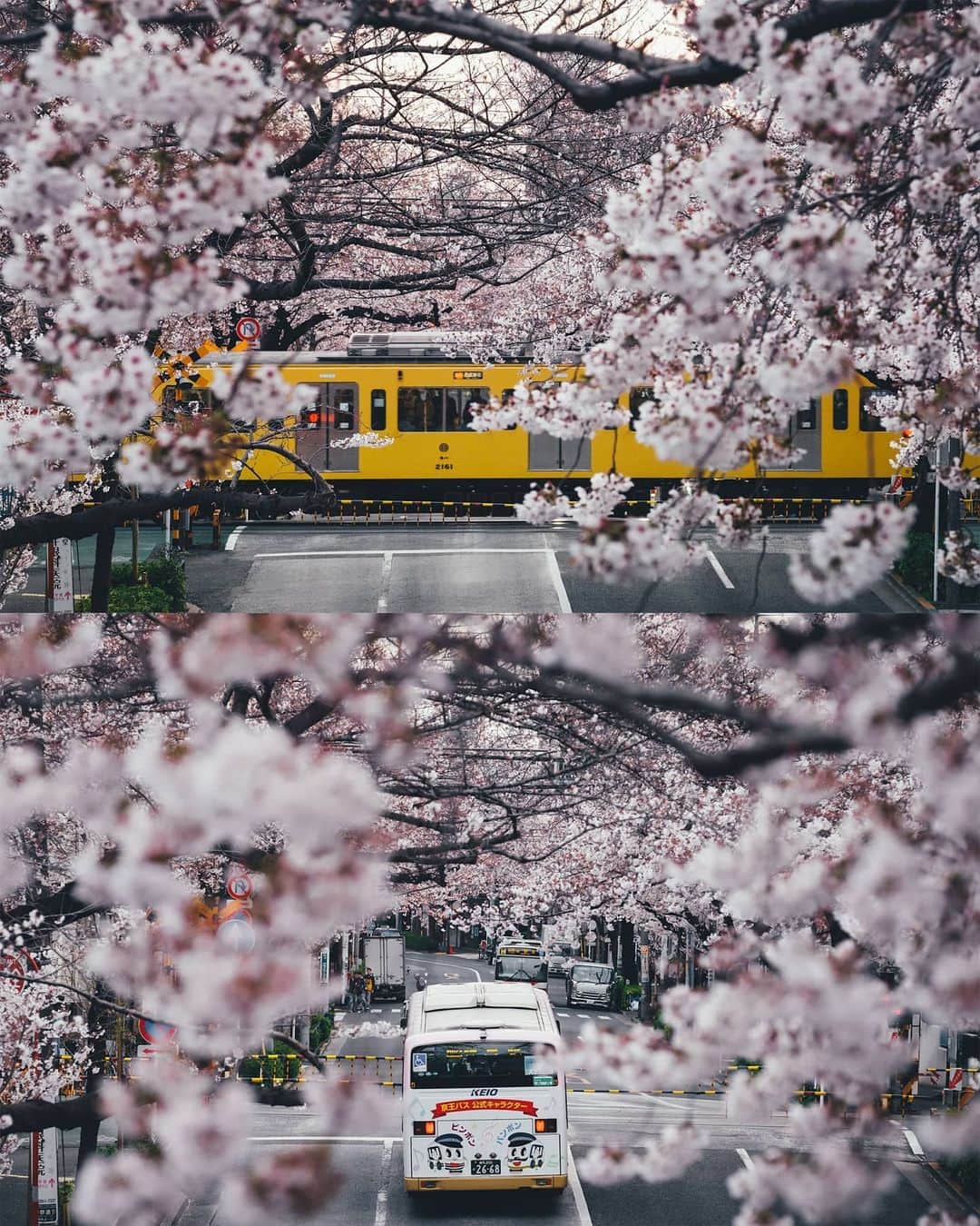 Takashi Yasuiさんのインスタグラム写真 - (Takashi YasuiInstagram)「Everyday life in Tokyo」3月26日 23時21分 - _tuck4