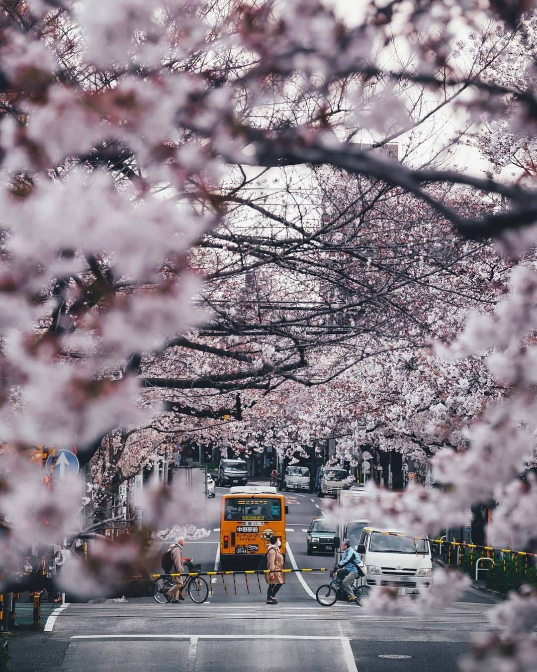 Takashi Yasuiさんのインスタグラム写真 - (Takashi YasuiInstagram)「Everyday life in Tokyo」3月26日 23時21分 - _tuck4
