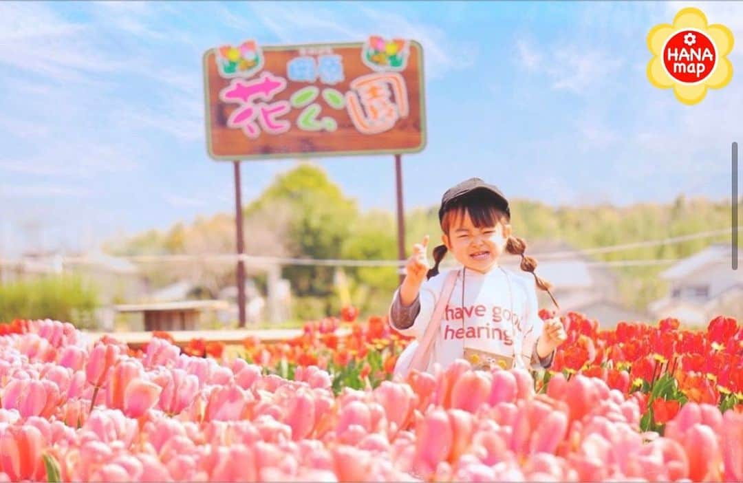 はなまっぷ❁日本の花風景さんのインスタグラム写真 - (はなまっぷ❁日本の花風景Instagram)「🌸はなまっぷ🌸 * @yrk6_6 さんの  花のある風景に花まるを💮 * 可愛い笑顔に癒される素敵なチューリップ畑をありがとうございます😊🌸 * 大分　#おかばる花公園 Oita, Oita Pref. * 🌼チューリップの花言葉📝🌼 思いやり * 見頃を過ぎている場所もご紹介しています。お出かけの際はHP等で最新の情報をご確認くださいね🙏🌸 * 🌸•••🌸•••🌸•••🌸•••🌸•••🌸 * いつも素敵なお花をありがとうございます😊 日本の花のある風景にタグ付けしてください🌸 お花があれば何でもOKです💓 * #はなまっぷ * #日本の美しい花風景#花のある風景#花#花言葉#風景#花畑#チューリップ」3月27日 9時01分 - hanamap