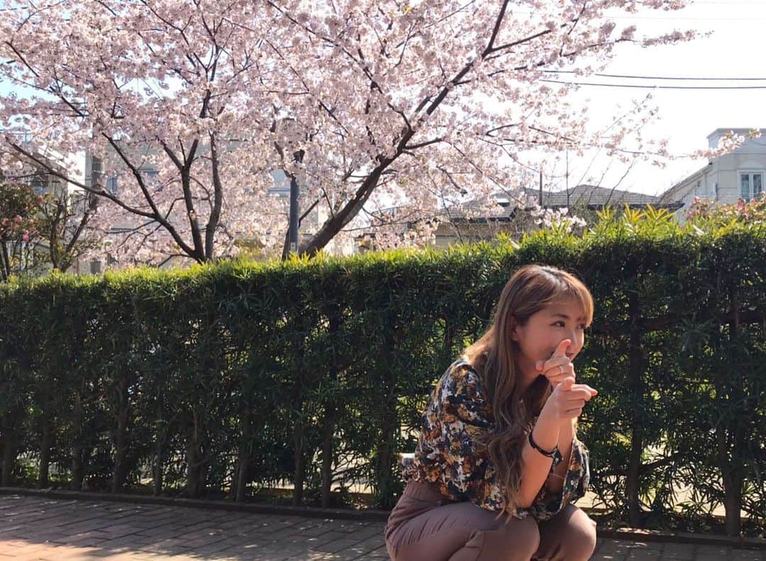 YU-Aさんのインスタグラム写真 - (YU-AInstagram)「🌸が満開でした 桜を綺麗だなぁと心から感じるようになったのはいつからだろう？ 何も感じなかった時期もある。 この週末には散ってしまうのかな 桜が咲くとどうして優しい気持ちになるんだろう？ 苦手なピンクも素直に可愛いと思えるから不思議」3月27日 9時43分 - yua_official