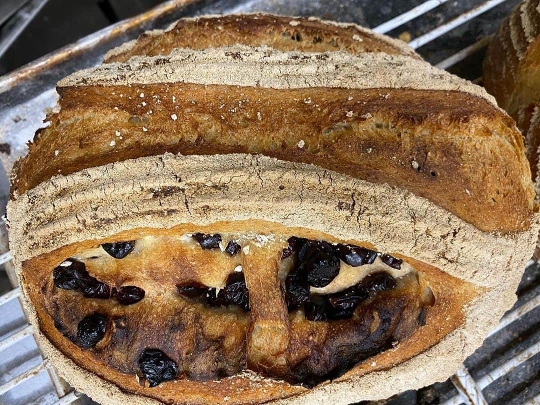 魔女菅原のグルメインスタ