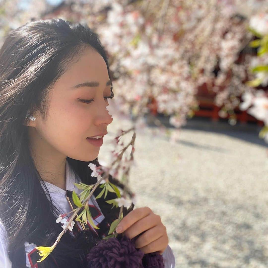 宇田恵菜さんのインスタグラム写真 - (宇田恵菜Instagram)「Cherry blossom 🌸  華やかで優美な桜ちゃん at 富士宮浅間大社 ------------------------- #motorbike #motorcycle #drifter #vulcan #mybike #ridding #womanrider #vulcandrifter #kawasaki #rider #バイク #バルカン #ドリフター #イザベラ #女性ライダー #バイカー #マイバイク  #kawasakivulcan #kawasakigirl #バルカンドリフター  #えなイズム #ソロツーリング #恵菜バイク #バイク女子 #カワサキ女子 #バイク好き #しだれ桜 #恵菜コーデ #富士宮浅間大社」3月27日 9時59分 - ena2727