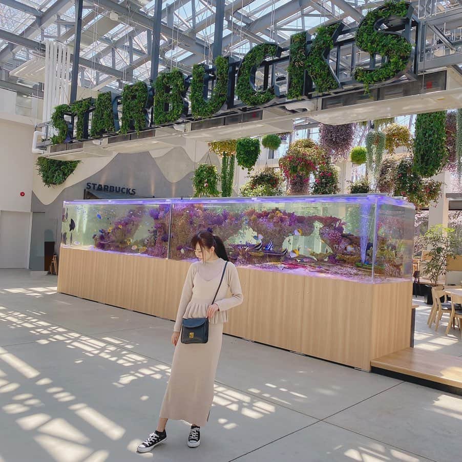 金澤有希さんのインスタグラム写真 - (金澤有希Instagram)「・ ・  23日にオープンした HANA・BIYORI内にある オシャレなスタバ！ 植物園では日本初となるスタバらしい！ 更にSTARBUCKSのサイネージを本物の植栽で表現してるのも日本初なんだって！！ ・ ・ 📍よみうりランド駅から徒歩10分 駅から無料シャトルバスも出てるよ！ ・ ・ 1年中お花が楽しめるんだって！ 今の時期は、桜が綺麗だったよ🌸 ・ ・  #スタバ#スターバックス#おでかけスポット#よみうりランド#穴場スポット#スタバ新作#東京カフェ#東京カフェ巡り#東京観光#ハナビヨリ#hanabiyori #カメラ女子 #花 #桜　#私服」3月27日 10時02分 - yuuki_kanazawa0501