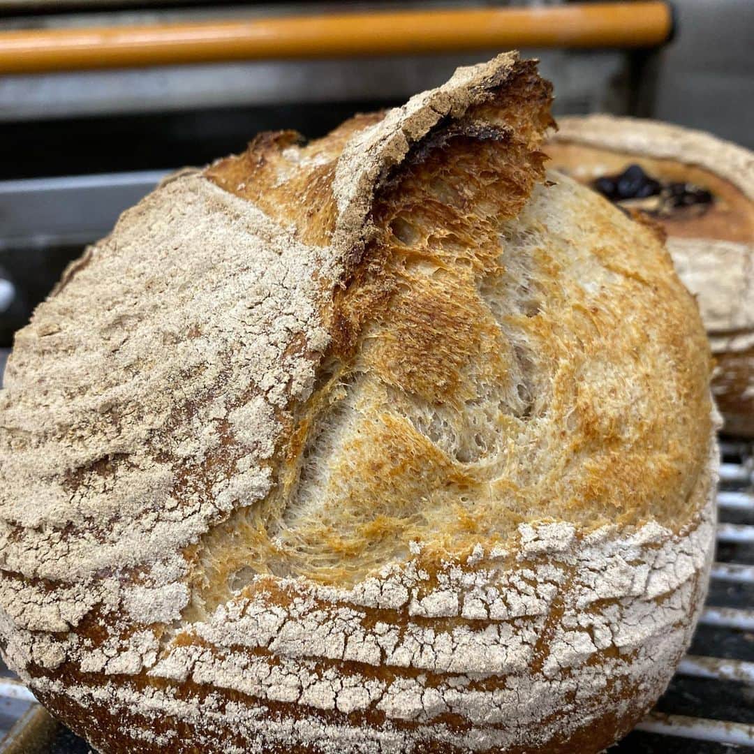 魔女菅原のグルメインスタ