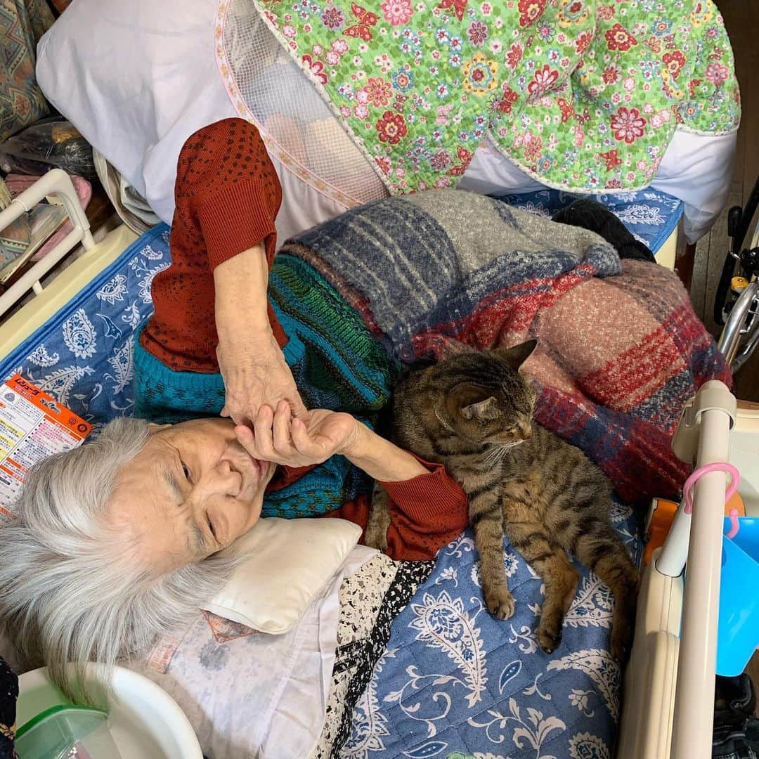Kachimo Yoshimatsuさんのインスタグラム写真 - (Kachimo YoshimatsuInstagram)「バーバとココちゃん Mother & Cocoa #うちの猫ら #cocoa #猫 #ねこ #cat #ネコ #catstagram #ネコ部 http://kachimo.exblog.jp」3月27日 10時09分 - kachimo