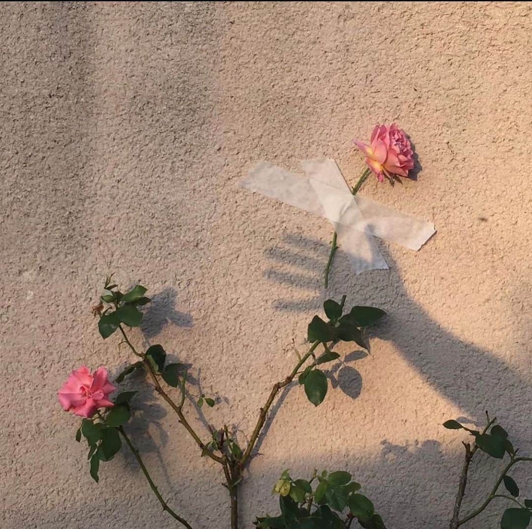 モード・ウェルゼンのインスタグラム：「love this @jacquemus 💕  #sunshinemakesmehappy」